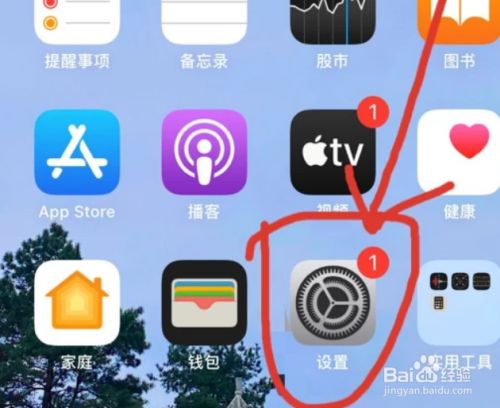 手机屏幕悬浮球苹果版苹果手机屏幕摔的分离不亮-第1张图片-亚星国际官网
